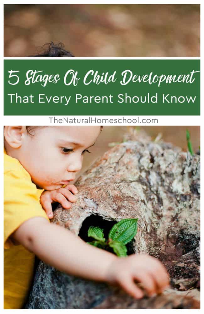 Gaining insight into the five stages of child development can provide parents guidance for their child to reach his or her fullest potential.
