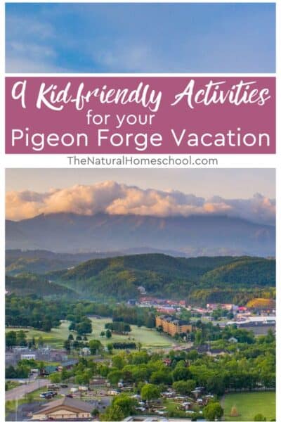 Pigeon Forge is also an excellent destination for families with kids because it offers various entertaining activities that children of all ages will enjoy.