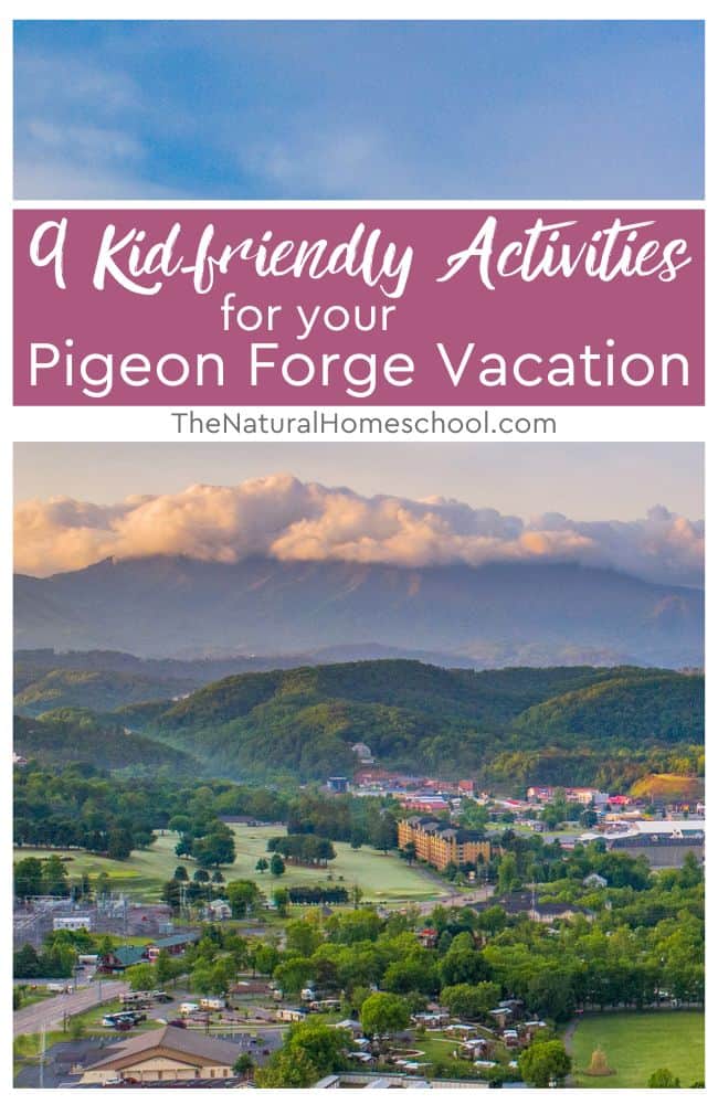 Pigeon Forge is also an excellent destination for families with kids because it offers various entertaining activities that children of all ages will enjoy.
