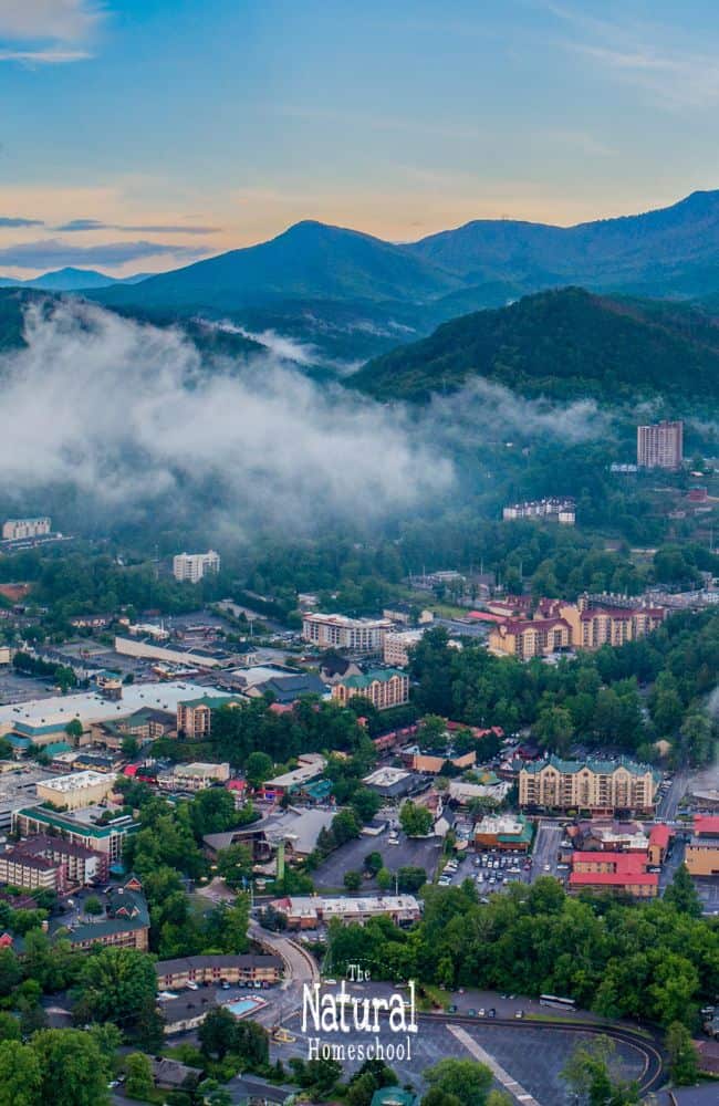 Pigeon Forge, Tennessee, is a charming destination that offers something for everyone, including families with young children.