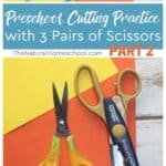 In this article, we will cover some cutting practice activities that preschoolers can do with 3 pairs of scissors: blunt blade scissors, training scissors and advanced decorative pattern scissors.