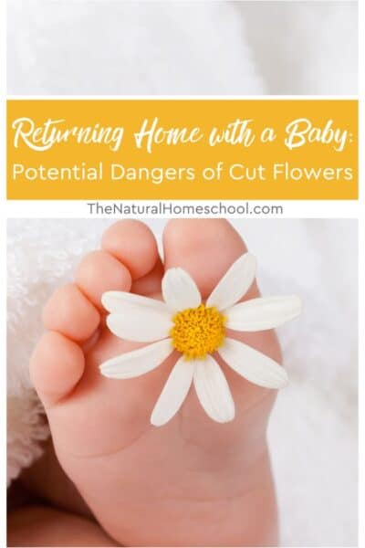 When choosing cut flowers for mom and little baby, you should study the types of plants that you should not give.