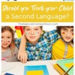 Teaching your child a second language while young can be beneficial for some of the following reasons.