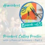 In this episode, we'll discuss several cutting games that preschoolers can play with three different sets of scissors: training scissors, advanced ornamental pattern scissors, and blunt blade scissors.