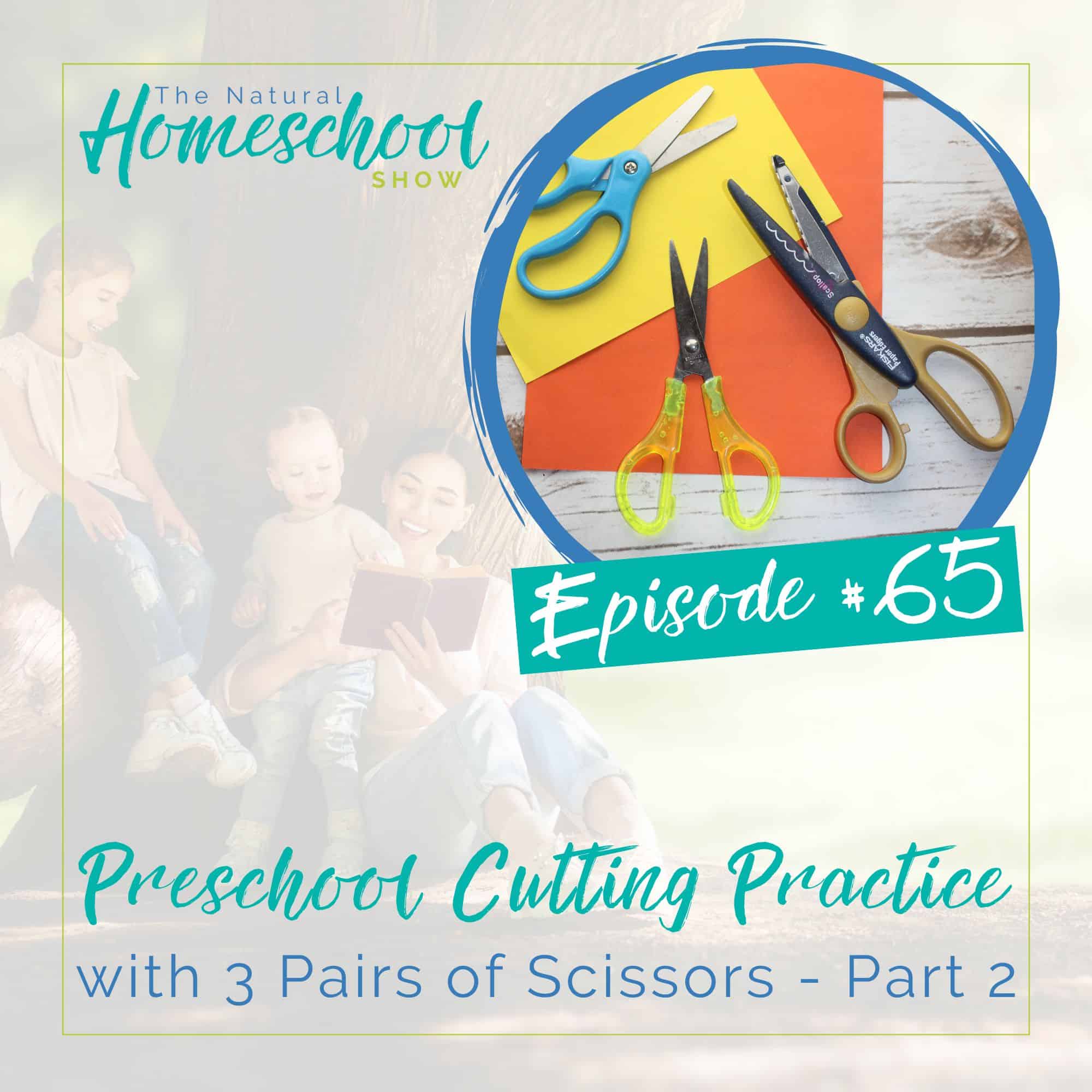 Episode 65: Preschool Cutting Practice with 3 Pairs of Scissors – Part 2 episode artwork