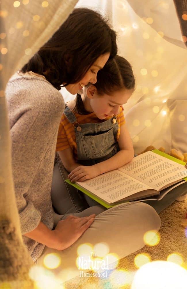 Teaching reading comprehension can be a challenge when homeschooling. That’s why having a comprehensive homeschool reading comprehension curriculum is so important.