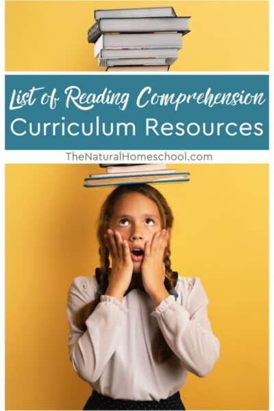 In this post, I want to discuss some key elements of reading comprehension, the reasons why it's crucial, and some fantastic reading comprehension tools with you. So look at it. Look up your child's grade to see what I can suggest.
