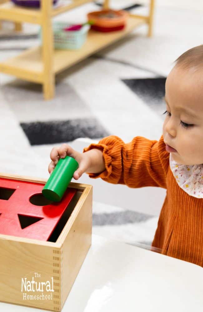 Montessori toys, particularly Montessori wooden toys, play a crucial role in the cognitive and physical development of 1-year-old toddlers.