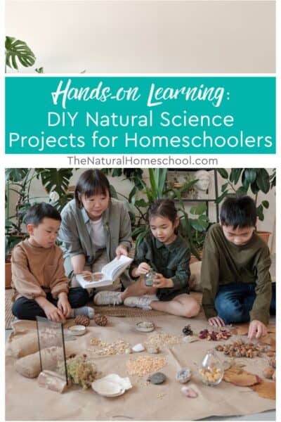 This blog post delves into the rich possibilities that DIY science projects present, making learning fun and impactful for young homeschoolers.