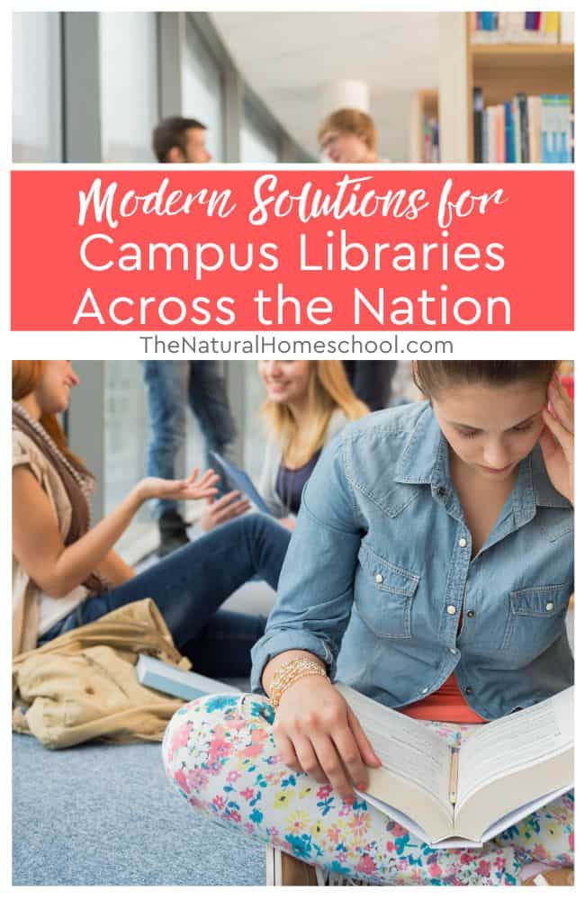 This article delves into the metamorphosis of campus libraries across the nation, highlighting modern solutions that cater to the evolving needs of students and educators alike.