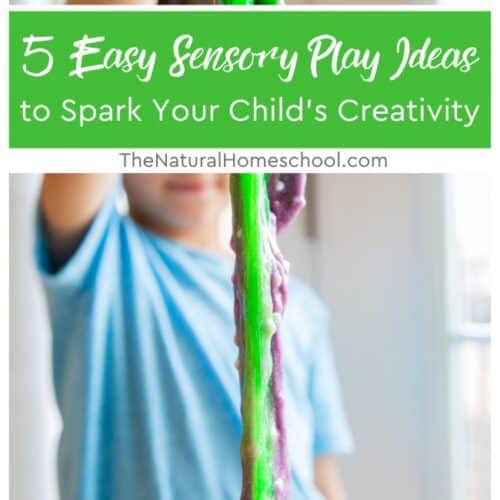 5 Easy Sensory Play Ideas to Spark Your Child's Creativity - The ...