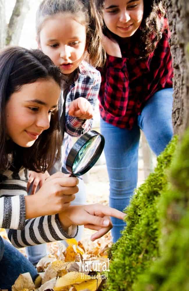 For homeschooling families, these nature-based activities can be more than just sparks of curiosity; they become teaching opportunities.