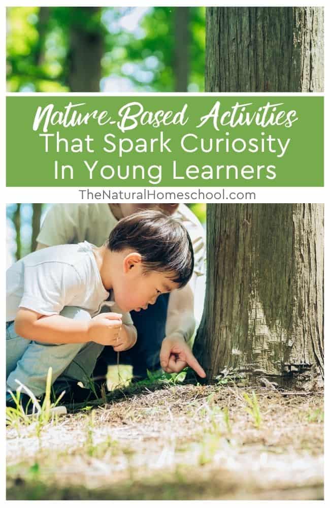 For homeschooling families, these nature-based activities can be more than just sparks of curiosity; they become teaching opportunities.