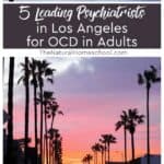 After reviewing dozens of practices across LA, this guide narrows it down to five standout options for adults dealing with OCD.