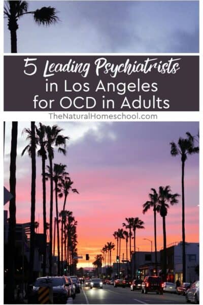 After reviewing dozens of practices across LA, this guide narrows it down to five standout options for adults dealing with OCD.