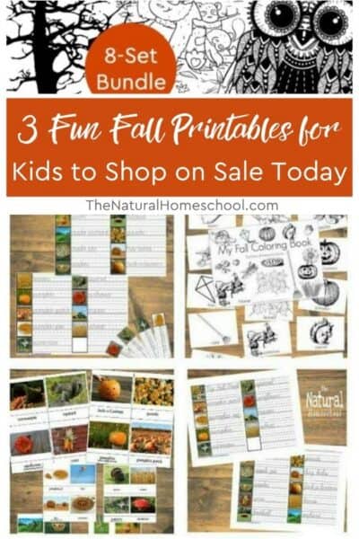 Our shop has three fall resources on sale to help you add seasonal fun to your lessons. Whether you are looking for coloring activities, handwriting practice, or lessons with printables included, take a look at these favorites!