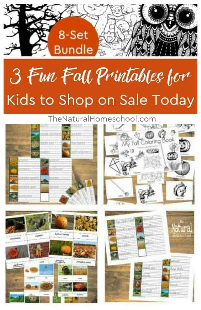 Our shop has three fall resources on sale to help you add seasonal fun to your lessons. Whether you are looking for coloring activities, handwriting practice, or lessons with printables included, take a look at these favorites!